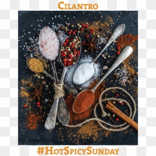 Cilantro - Spice, HD Png Download