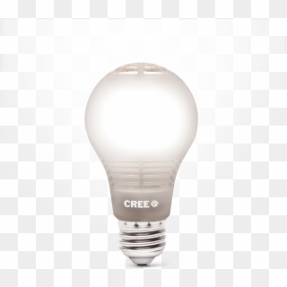 Kinds Of Light Household Bulb Types Lumens Standardwatt - Cree, HD Png Download