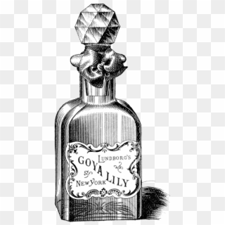 Vintage Perfume Png Photo - Vintage Poison Bottle Drawing, Transparent Png