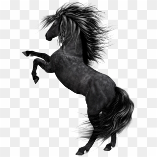 Black Horse Png - Black Horse Png Hd, Transparent Png