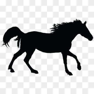 Free Clipart Of A Black Silhouette Of A Horse - Horse Silhouette Transparent, HD Png Download