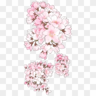 Drawn Cherry Blossom Hand - Mountain Laurel, HD Png Download