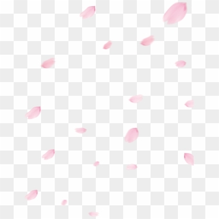 Picture Transparent Library Cherry Blossom Flower - Polka Dot, HD Png Download