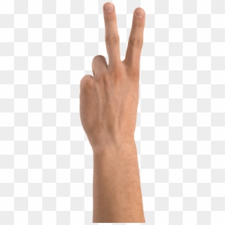 Hands Free Images Pictures Download Hand Png Boi Hand - Hand Two Fingers Png, Transparent Png