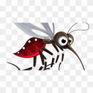 Mosquito Png Transparent Picture - Png Transparent Mosquito Png, Png Download