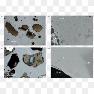 Scanning Electron Microscope Images Of Shards With - Shard Of Glass Electron Microscope, HD Png Download