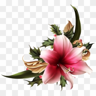 Florals Png - Lily, Transparent Png
