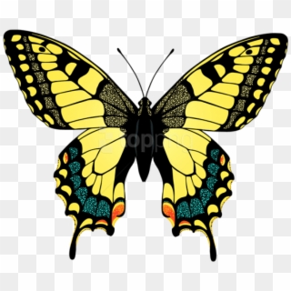 Free Png Download Yellow Butterfly Clipart Png Photo - Swallowtail Butterfly Clip Art, Transparent Png