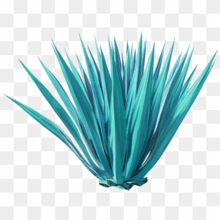 Water Is The Main Compound Of Beer, That's Why Fiesta - Agave Azul Png, Transparent Png