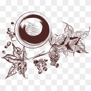 Coffee Tea Latte Cafe - Coffee Plant Vector Png, Transparent Png