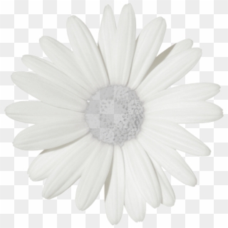 Free Png Download Flowers Transparent Tumblr Png Images - Transparent Daisies, Png Download