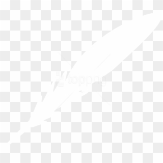 Free Png Images - White Feather Vector Png, Transparent Png