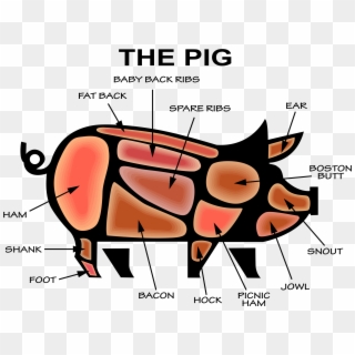 Big Image - Infographic Pig, HD Png Download