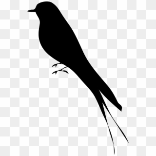 Bird Silhouette Mockingbird - Bird Silhouette, HD Png Download