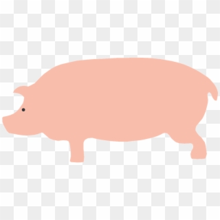 Vector - Pig Cartoon Side View, HD Png Download