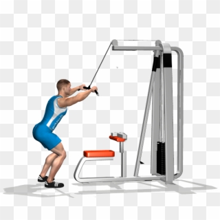 Straight Arm Pulldown Involved Muscles During The Training - Pull Down Cavo Alto, HD Png Download