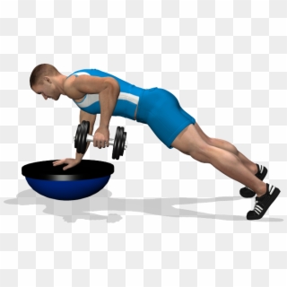 Single Arm Dumbbell Row On Bosu Involved Muscles During - Esercizi Dorsali A Casa, HD Png Download