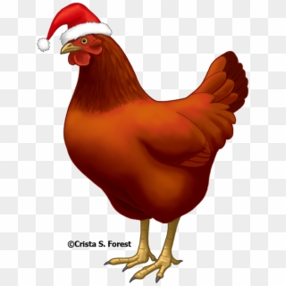 Well, Looks Are Deceiving - Chicken With Santa Hat, HD Png Download