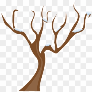 Season, Tree, Winter, Snow, Cold - Tree Without Leaves Vector Png, Transparent Png