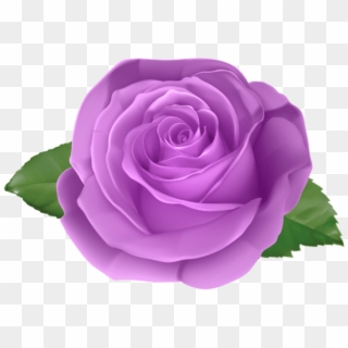 Free Png Download Rose Purple Transparent Png Images - Rose Png, Png Download