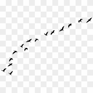 Download - Birds Flying Away Png, Transparent Png