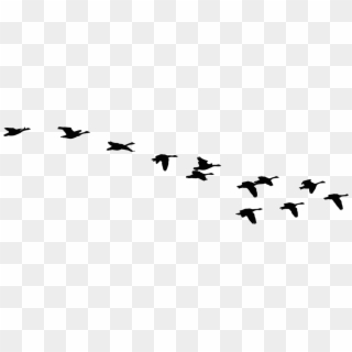 Free Stock Onlinelabels Clip Art Flying Geese Silhouette - Flock Of Geese Silhouette, HD Png Download