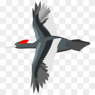 Flying Bird Clipart Bird Png - Flying Birds Png Vector, Transparent Png