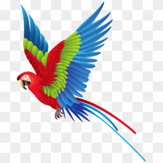 Colourful Parrot Png Clipart - Colorful Fly Bird Png, Transparent Png