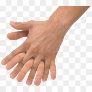Hands - Hands Holding No Background, HD Png Download