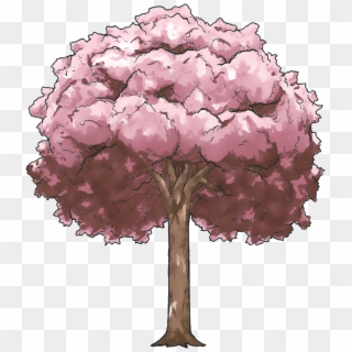 Cherry Blossom Tree - Cherry Blossom Anime Tree Drawing, HD Png Download