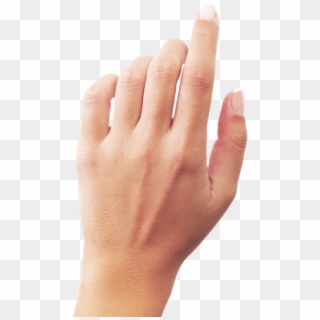 Hand PNG Transparent For Free Download - PngFind