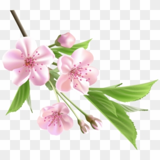 Free Png Download Spring Branch With Pink Tree Flowers - Spring Flower Png, Transparent Png