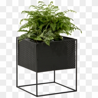 Indoor Planter Box, Metal Planter Boxes, Tall Planters, - Redfox And Wilcox Planter, HD Png Download