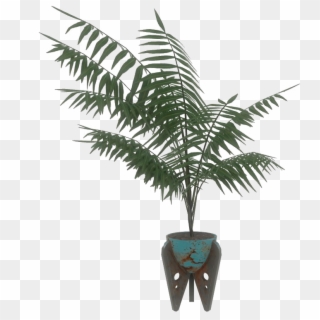 Fo4 Blue Potted Plant - Roystonea, HD Png Download