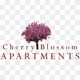 Sunnyvale Property Logo - Cherry Blossom Tree Logo, HD Png Download
