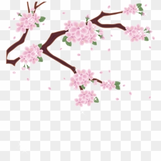 Mount Fuji Cherry Blossom Photography Clip Art - Cherry Blossom, HD Png Download