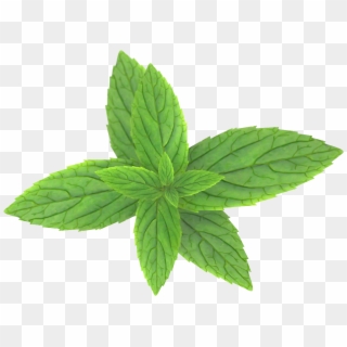 Pepermint Png - Mint Leaves Transparent Background, Png Download