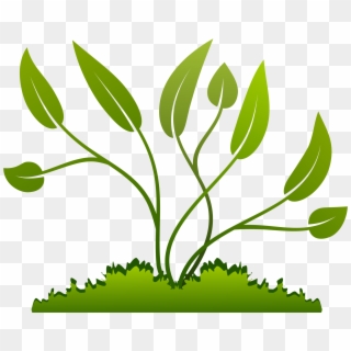 Potted Plants Clipart Plant Growth - Clip Art, HD Png Download