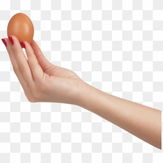 Hand Holding Egg - Egg In Hand Png, Transparent Png