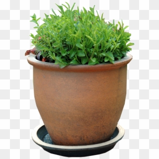 Picture - Flowerpot, HD Png Download