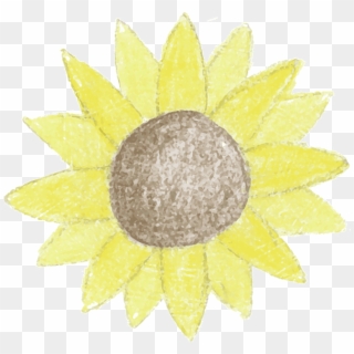 Sunflower - Paper Relief Sculpture Easy, HD Png Download