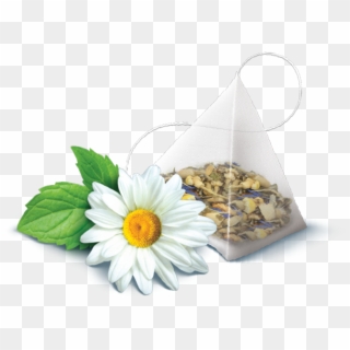 Camomile Flower Free Png Transparent Images Free Download - Camomile, Png Download