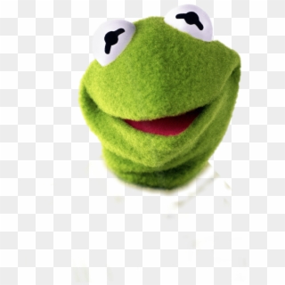Real Life Kermit The Frog , Png Download, Transparent Png