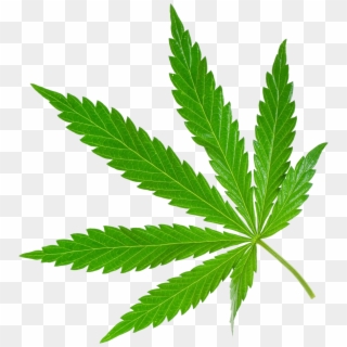 Cannabis Png Transparent, Png Download