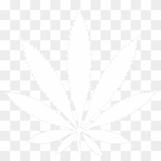 Buy Weed Thepotvault - Marijuana Leaf White, HD Png Download