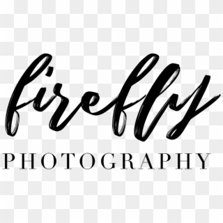 Firefly Photography, HD Png Download