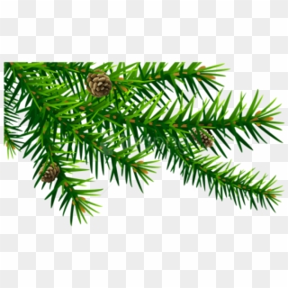 Free Png Green Pine Branch Png - Pound Sign Christmas, Transparent Png