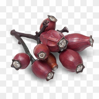 Hemmerle Brooch Shaped As A Rosehip - Shallot, HD Png Download