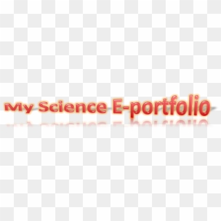 My Science E-portfolio - My Science Portfolio, HD Png Download