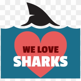 Love Of Sharks, HD Png Download